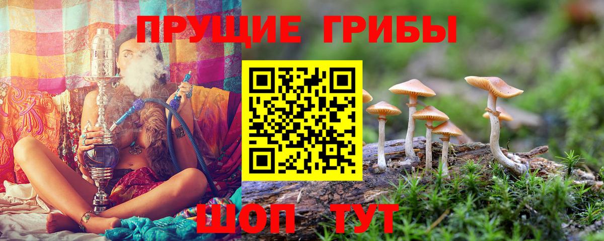 Лосино-Петровский  Псилоцибиновые грибы мицелий  Вход с VPN 